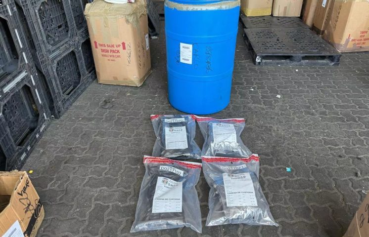 DNCD ocupa 46 paquetes de marihuana en operativos de interdicción en Puerto Haina