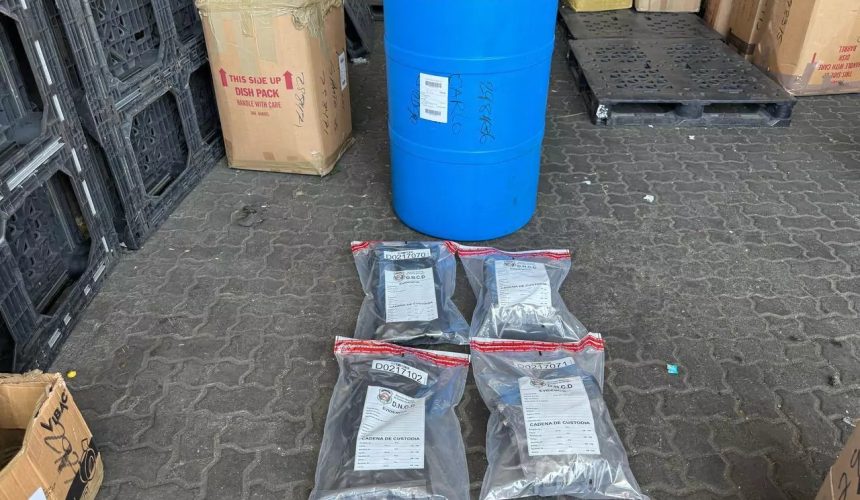 DNCD ocupa 46 paquetes de marihuana en operativos de interdicción en Puerto Haina
