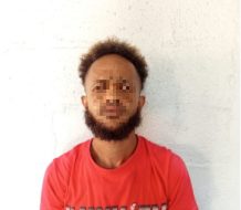 Apresan a “La Gata”, acusado de cometer múltiples robos en el sector La Canela, Santiago