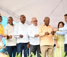 El Bagricola ha financiado la producción nacional de mangos con RD$602.3 millones