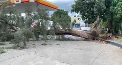 Árbol cae en estación de gas en la autopista Joaquín Balaguer; no se reportan heridos