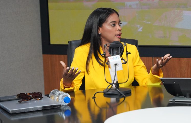 Diputada del PRM: “Abinader ha sido exitoso en su lucha contra la corrupción y un Gobierno transparente”