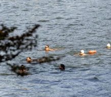 París permite bañarse en el Sena este verano tras años de contaminación