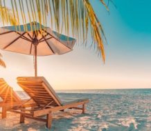  Verano: la estación más cálida del año, símbolo de vacaciones y naturaleza en plenitud