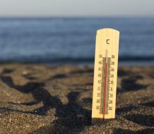 Verano 2025: calor extremo y precauciones