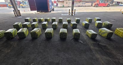 Guatemala confisca 900 libras de presunta marihuana que tenían como destino a RD