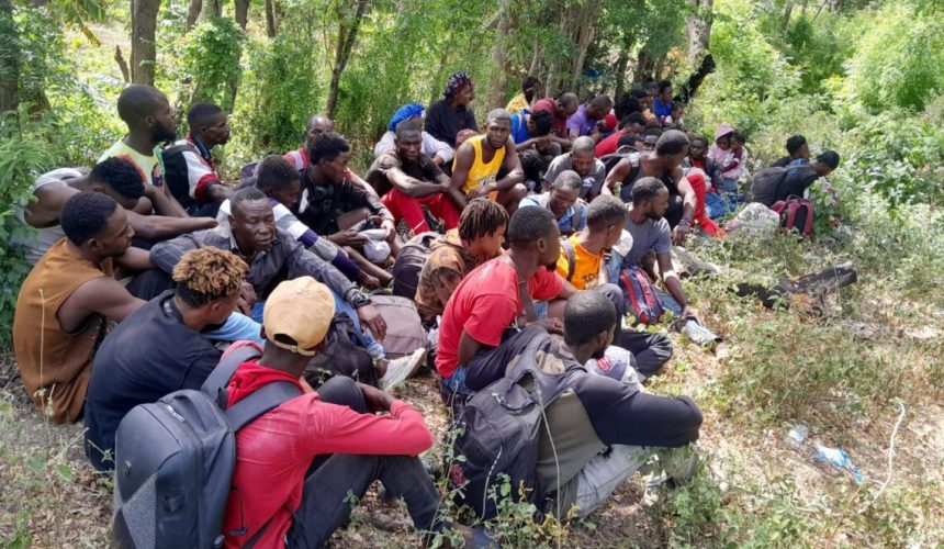 Con drones, detectan y arrestan 50 haitianos indocumentados en Valverde