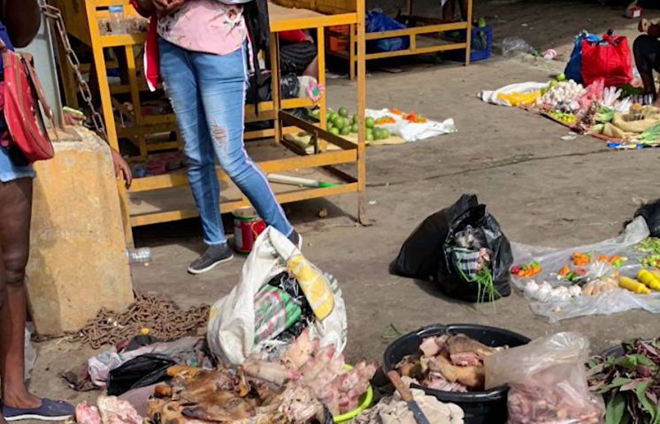 Denuncian venta de alimentos dañados por parte de Haitianos en Mercado Nuevo de Moca