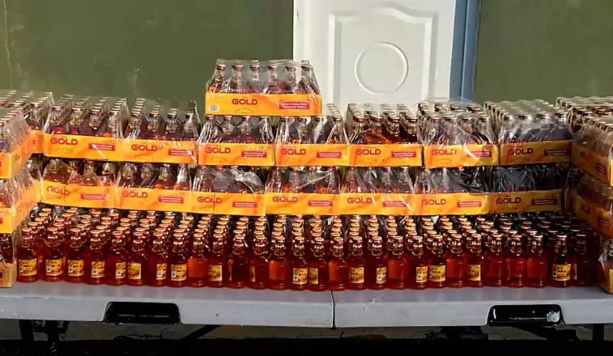 Ejército incautó más de 900 unidades de whisky de contrabando en Elías Piña