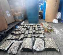 Confiscan 66 paquetes de marihuana ocultos en toallas sanitarias y comida para perros
