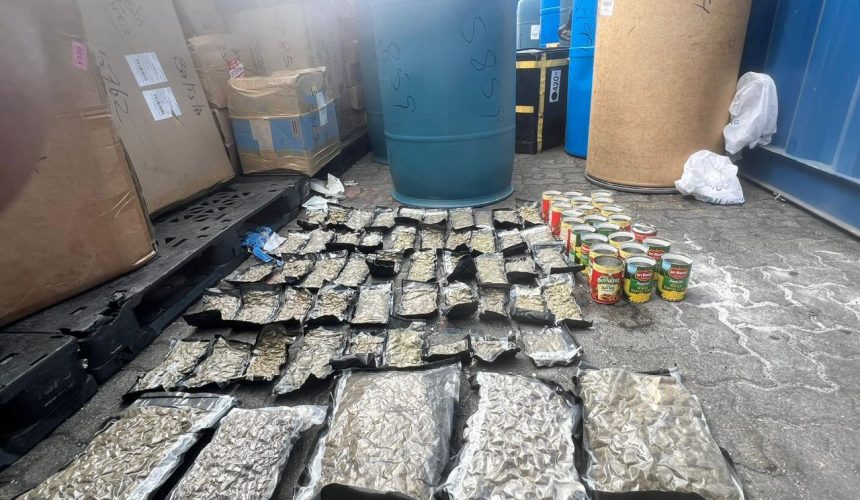 Confiscan 66 paquetes de marihuana ocultos en toallas sanitarias y comida para perros