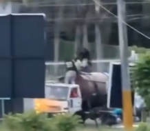 DGM detiene 12 inmigrantes haitianos indocumentados que eran trasladados en el tanque de un camión cisterna