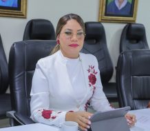 Diputada Carmen de la Rosa solicita energía eléctrica 24 horas para municipio cabecera de La Altagracia