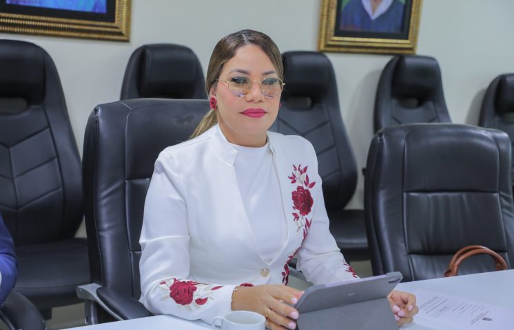 Diputada Carmen de la Rosa solicita energía eléctrica 24 horas para municipio cabecera de La Altagracia