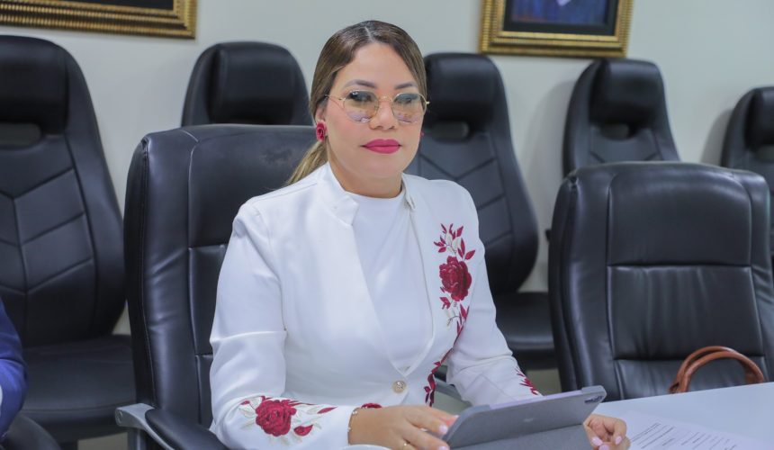 Diputada Carmen de la Rosa solicita energía eléctrica 24 horas para municipio cabecera de La Altagracia