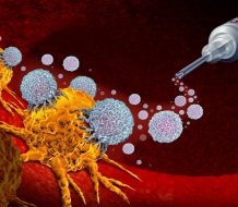 Investigación revela avances en inmunoterapia tumores sólidos