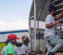 Detienen más de 1,800 indocumentados y deporta a otros 1,193