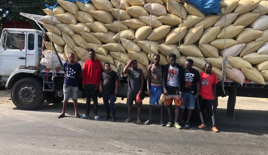 Ejército detiene camión con haitianos indocumentados ocultos entre sacos de paja de arroz en Hatillo Palma