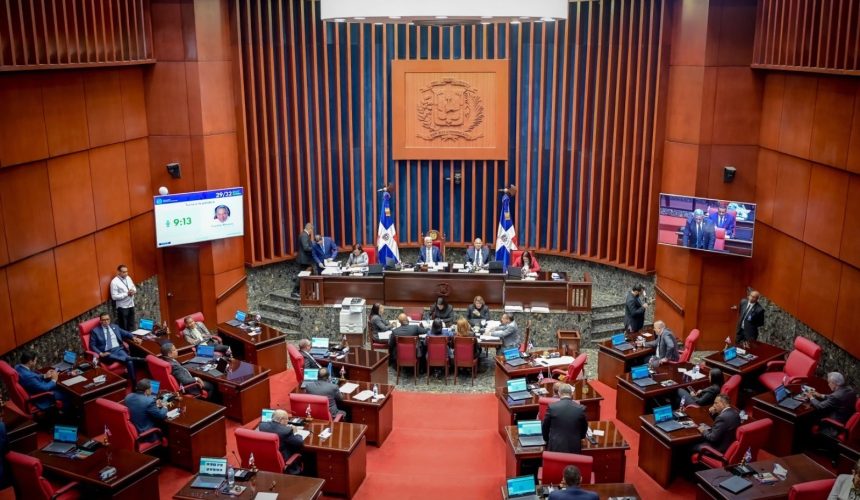 Senado aprueba en primera lectura proyecto de ley orgánica que crea DNI