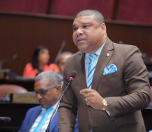 Diputado deplora falta de políticas publicas contra violencia intrafamiliar