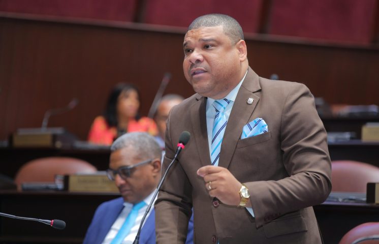 Diputado deplora falta de políticas publicas contra violencia intrafamiliar