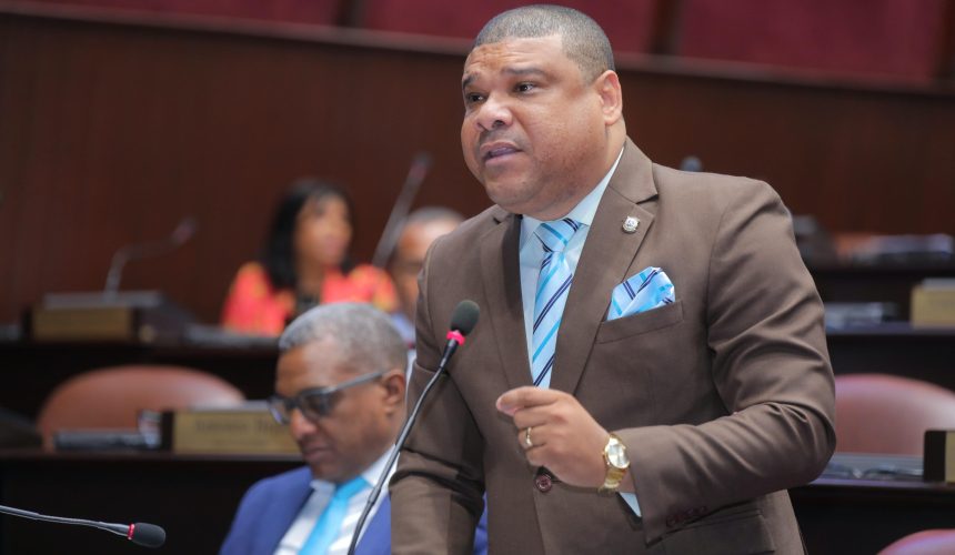 Diputado deplora falta de políticas publicas contra violencia intrafamiliar