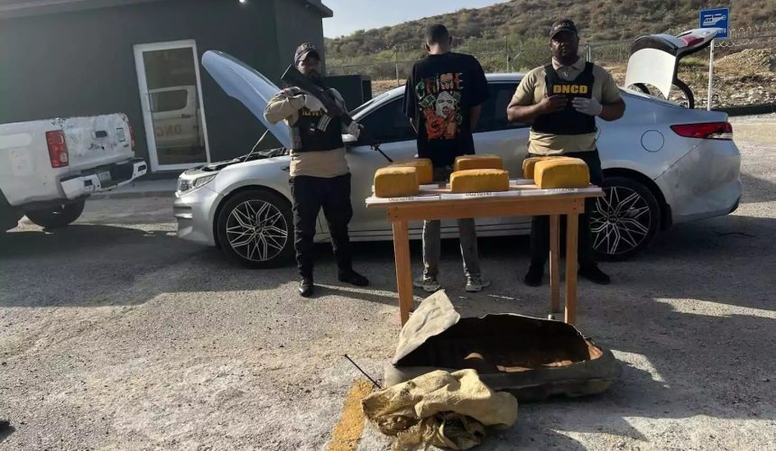 Ocupan 140 paquetes de marihuana en operaciones de interdicción ejecutadas en el AILA y Barahona