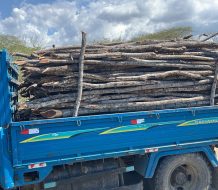 Detienen hombre en camión cargado de madera sin documentación legal en Montecristi
