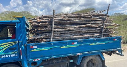 Detienen hombre en camión cargado de madera sin documentación legal en Montecristi