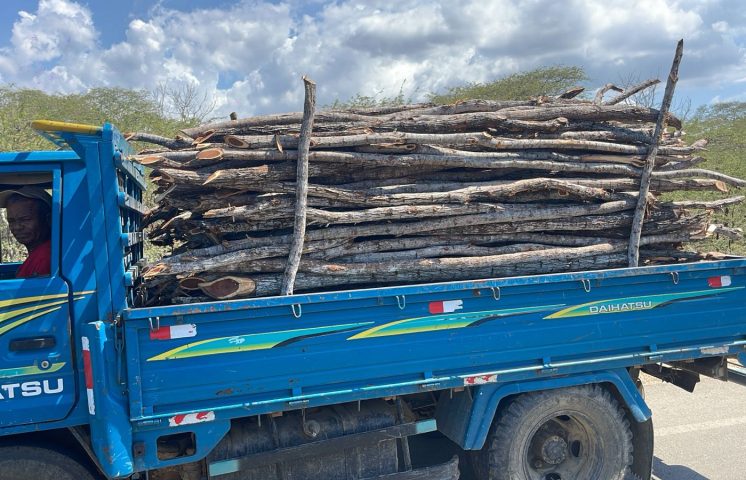 Detienen hombre en camión cargado de madera sin documentación legal en Montecristi