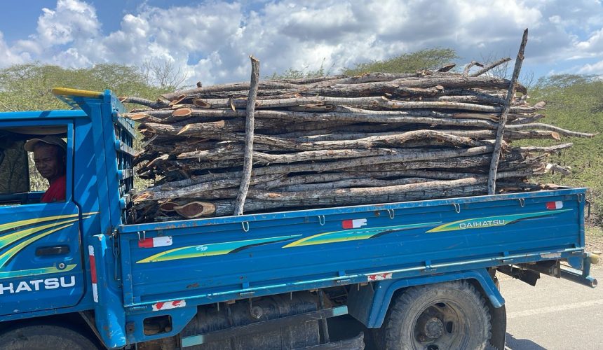 Detienen hombre en camión cargado de madera sin documentación legal en Montecristi