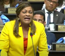 Diputada Altagracia de los Santos reafirma defensa de la vida desde la concepción y rechaza las tres causales