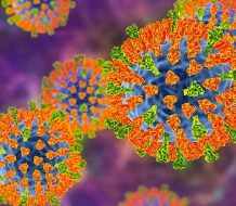 Sociedad Infectología pide reforzar vacunación ante alerta de sarampión