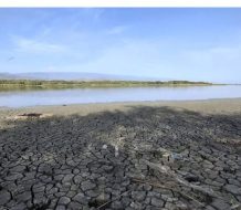 Pescadores de Cabral exigen acción del INDRHI ante sequía que asfixia la Laguna Rincón