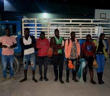 Detienen siete haitianos indocumentados en Independencia
