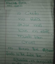 Madre envenenó a sus pequeños: “Perdón, no podía dejar mis hijos en este mundo tan cruel”