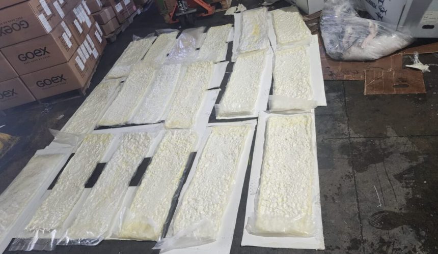 Decomisan 58 kilogramos de cocaína ocultos en cajas de pescado en Aeropuerto Cibao