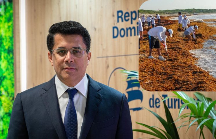 David Collado: “Hasta el momento no existe una solución definitiva con el Sargazo” 