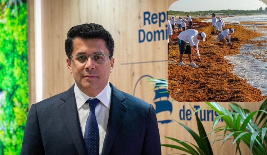 David Collado: “Hasta el momento no existe una solución definitiva con el Sargazo” 