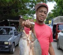 Muere joven tras ser impactado por un vehículo en Mao, Valverde