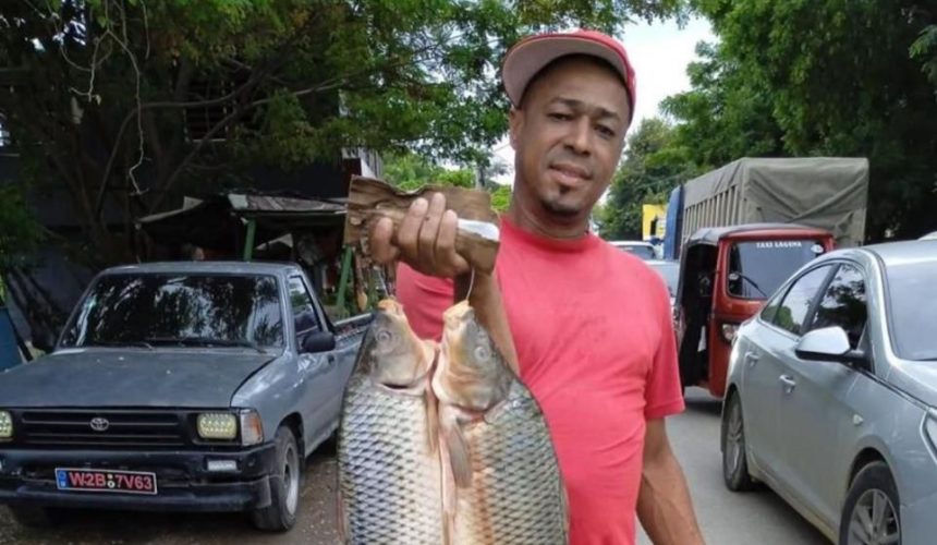 Muere joven tras ser impactado por un vehículo en Mao, Valverde