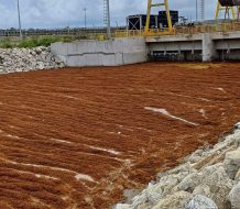 Gobierno lanza operativo para contrarrestar el sargazo en Punta Catalina