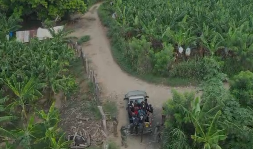 Detienen 17 haitianos indocumentados que se ocultaban en un platanal en Mao