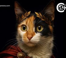Día Internacional del Gato: “Los guardianes energéticos”