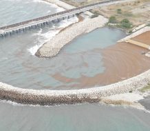 Unidad 1 de Punta Catalina sale de operación por obstrucción de sargazo tras huracán Erin