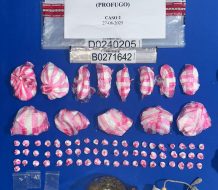 Incautan más de 6 mil gramos de presuntas drogas en operativos del DN