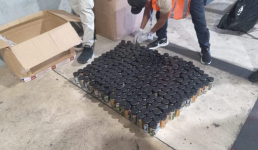 DNCD confisca 3 mil cigarros de marihuana en el Aeropuerto de Punta Cana