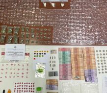 Incautaciones de droga y 15 arrestados en Santiago y Sosúa