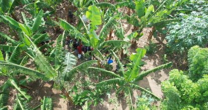 Detienen indocumentados detectados con drones en una zona boscosa en Elías Piña