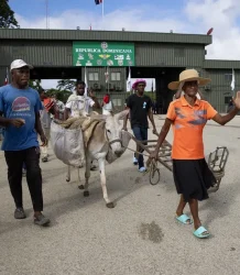 Más de 115.000 haitianos han salido voluntariamente de República Dominicana este año